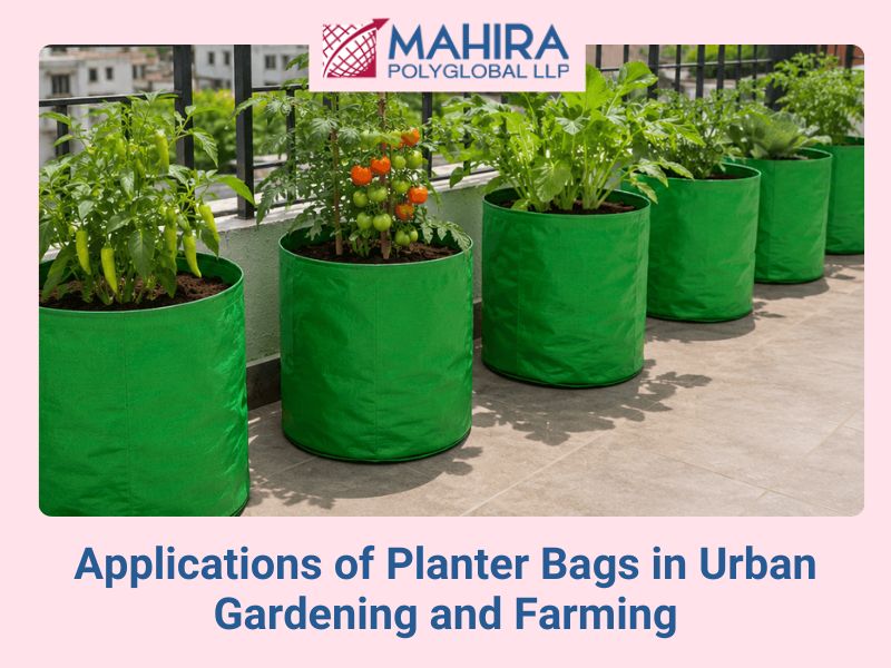Applications of Planter Bags in Urban Gardening and Farming